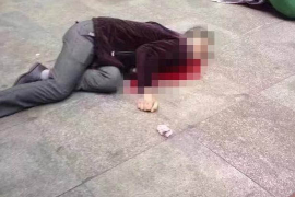 宝兴贷款清欠服务